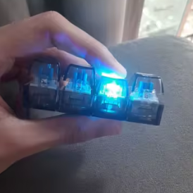 <em>Isabella R.</em>